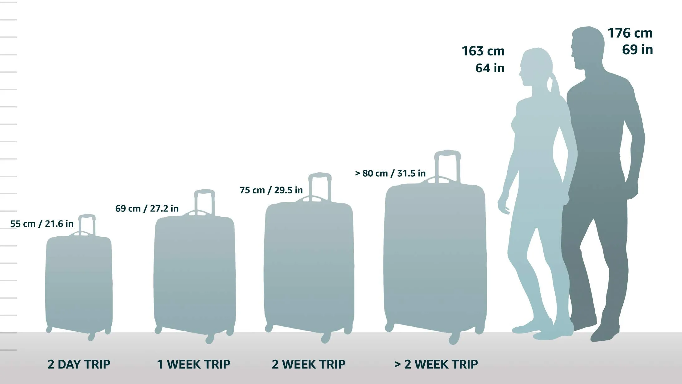 AmazonBasics Softside Carry-On Spinner Luggage Suitcase - 21 Inch, Black