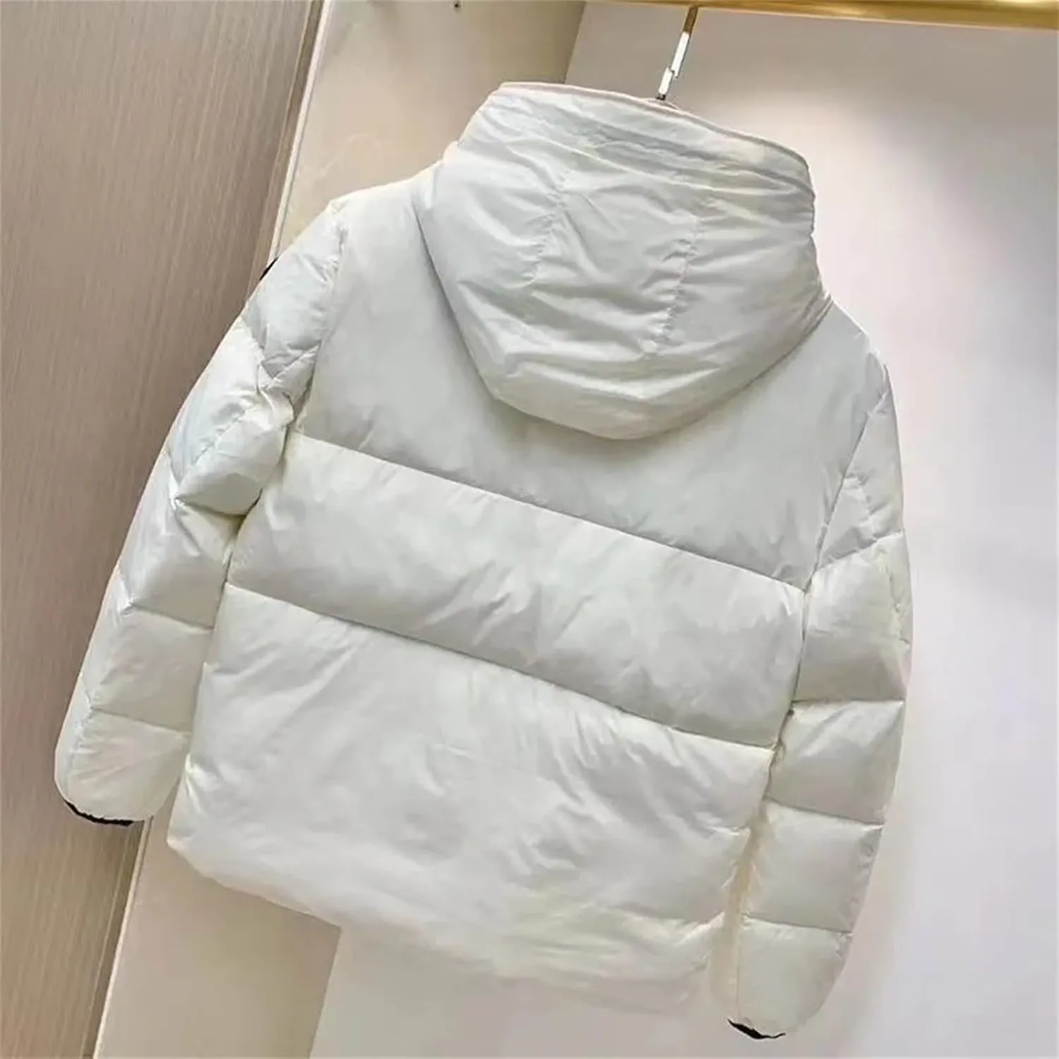 Autumn Winter Hooded Short Parkas Women Down Cotton Padded Jacket Casual Puffer Coat