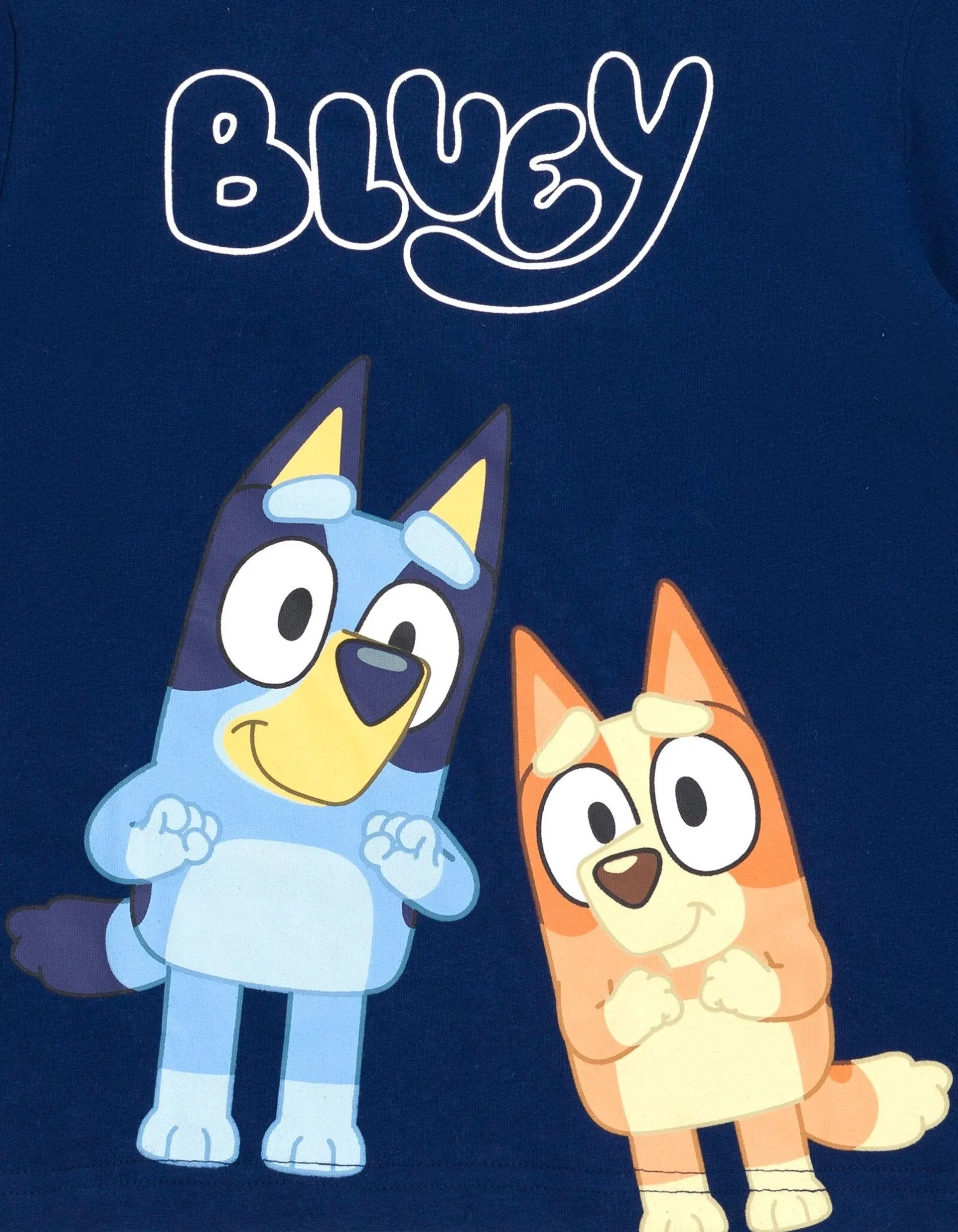 Bluey T-Shirt and Athletic Mesh Shorts Outfit Set