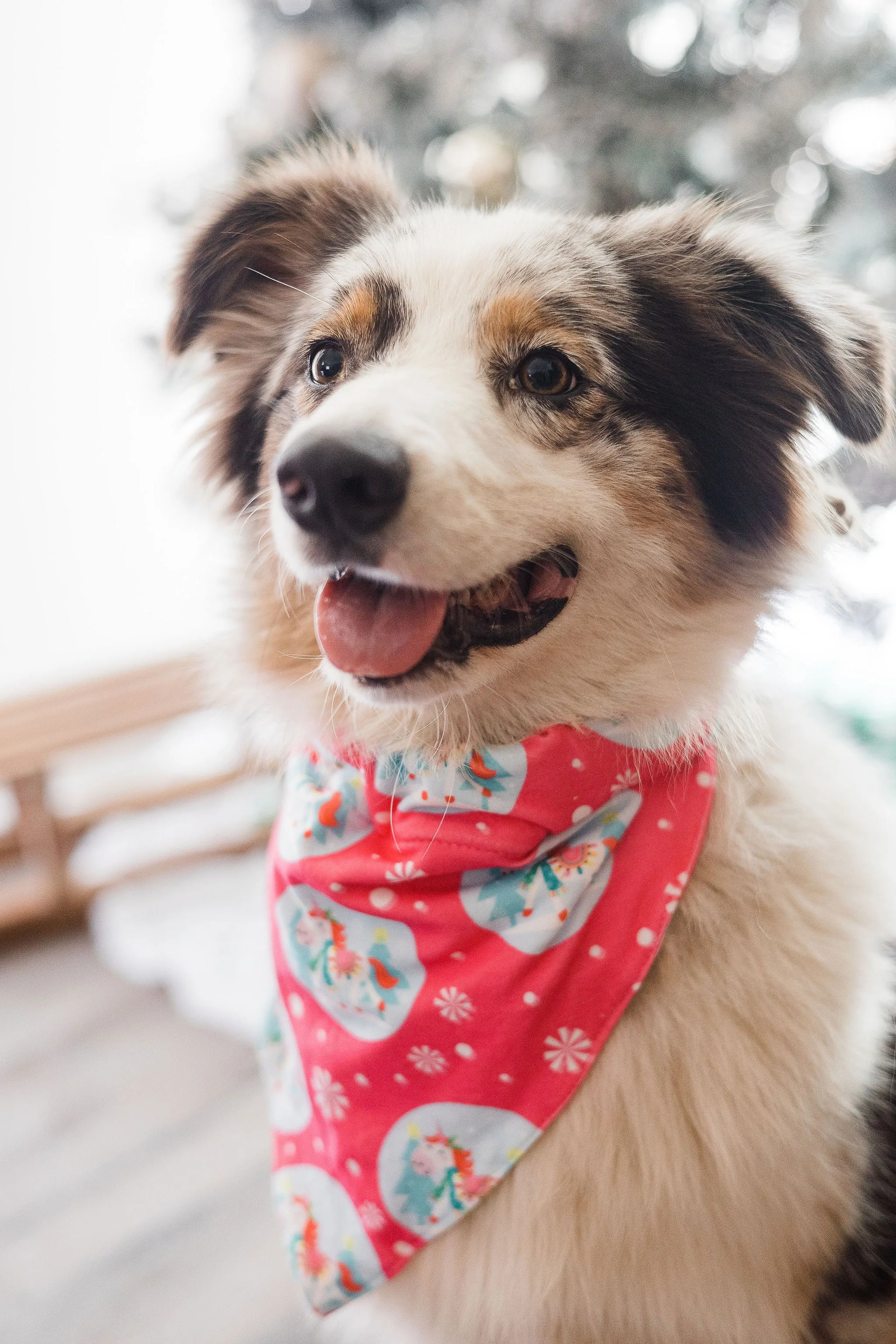 Christmas Unicorn - Pet Bandana