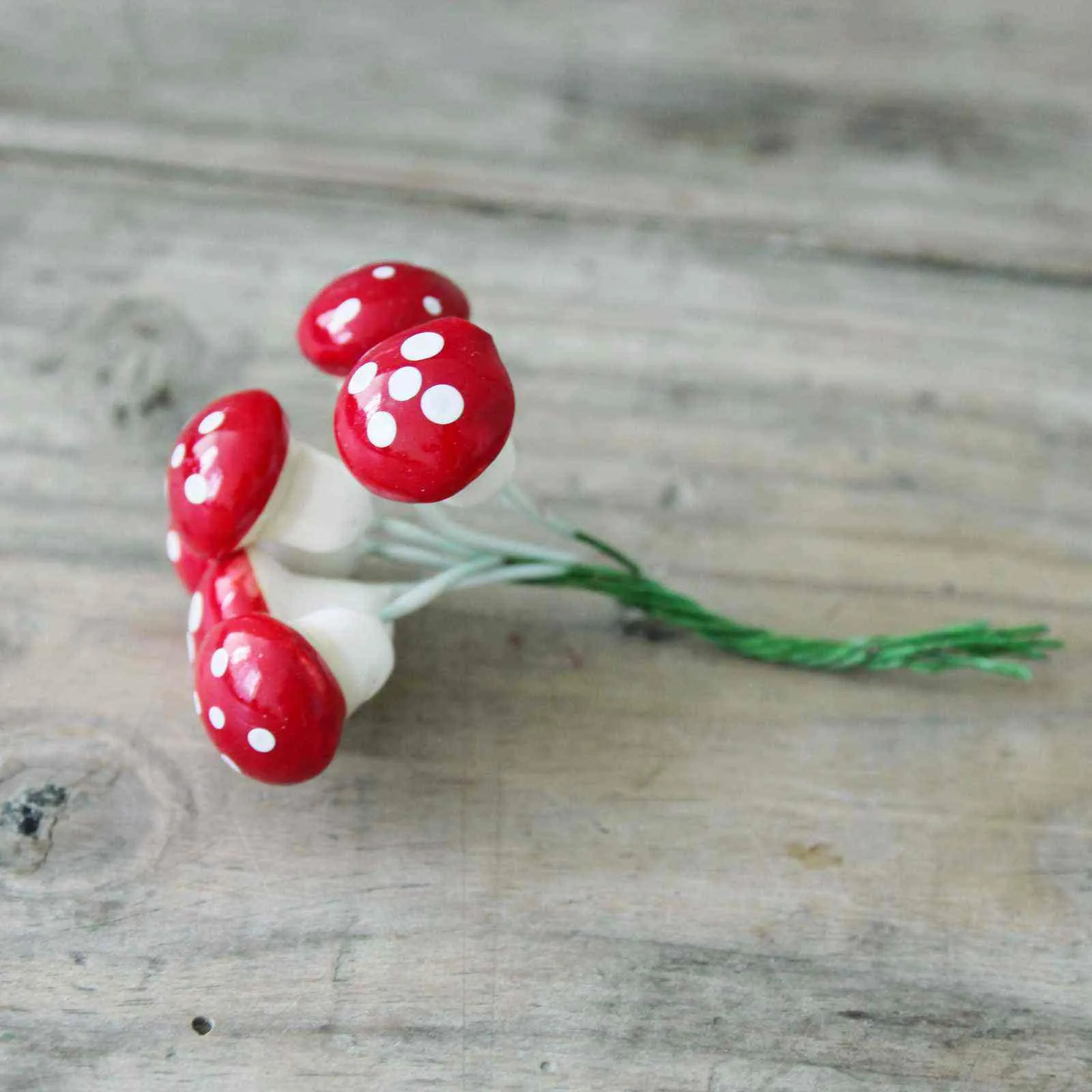 Mini Toadstool Bundle