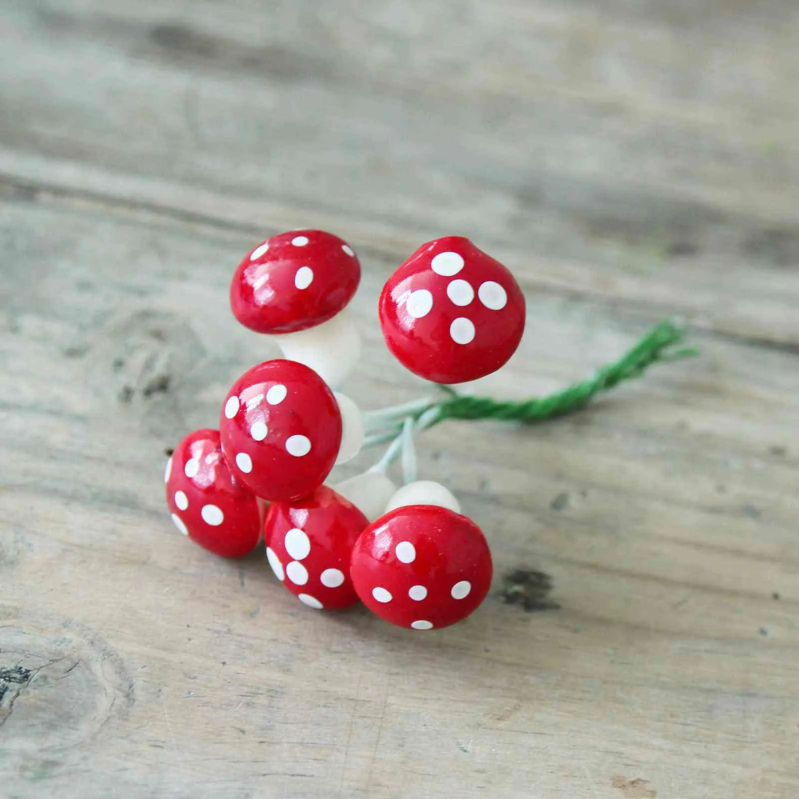 Mini Toadstool Bundle