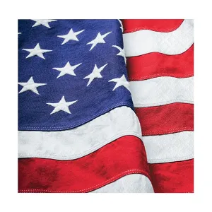 Patriotic Flag Beverage Napkins 16ct