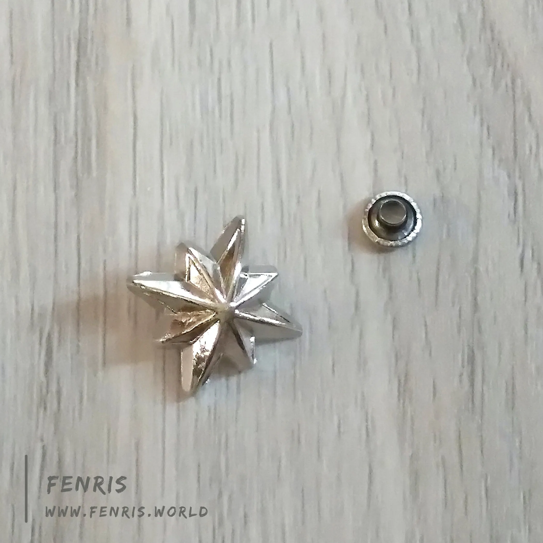 Rivets Studs Silver Star Compass Rose