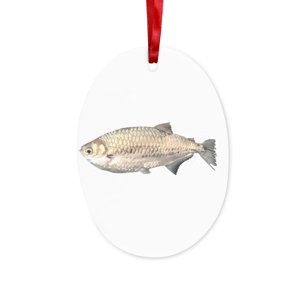 Silver Fish Ceramic Hanging Ornament