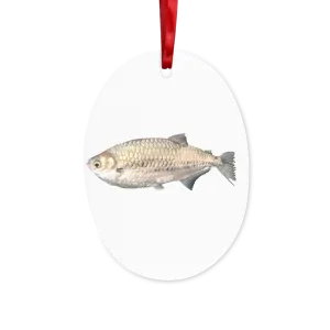 Silver Fish Ceramic Hanging Ornament