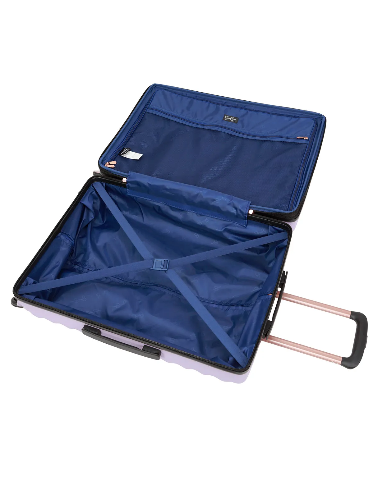 Vibrance Luggage Collection in Lavender Frost