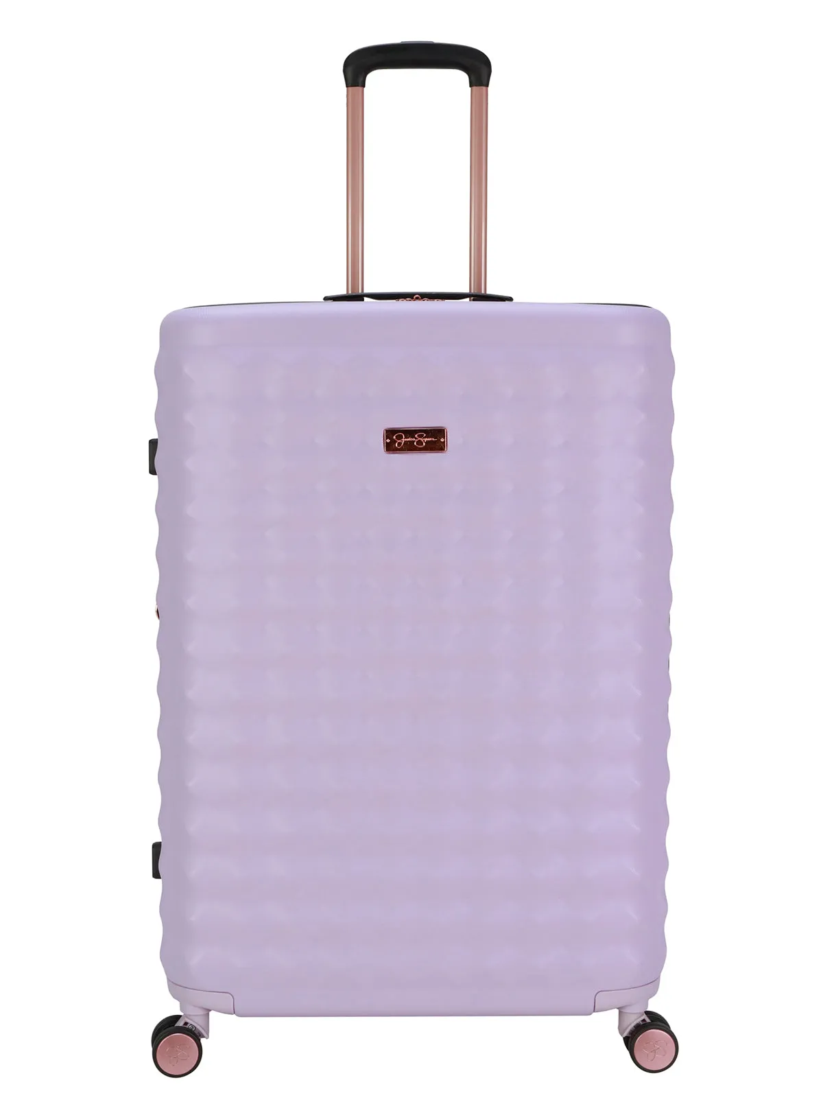 Vibrance Luggage Collection in Lavender Frost